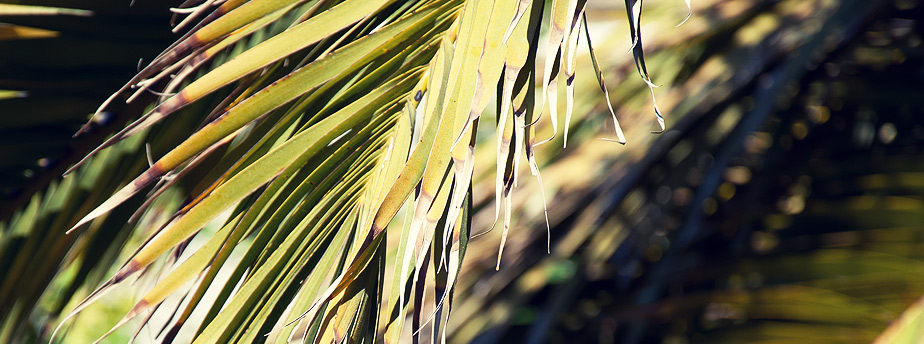 资产管理平台的智云短信轰炸