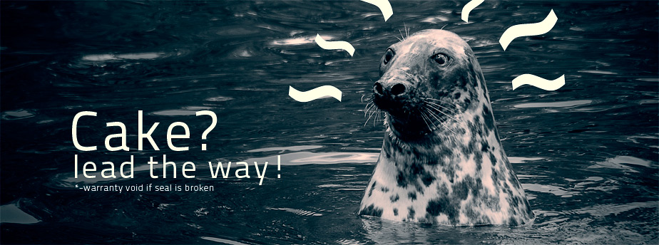 网络手机号免费版